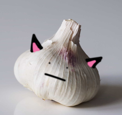 Garlic dressed as a cat